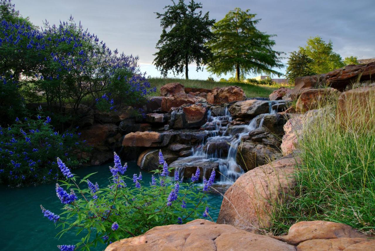 Holiday Inn Express Frisco Legacy Park Area, An Ihg Hotel Extérieur photo